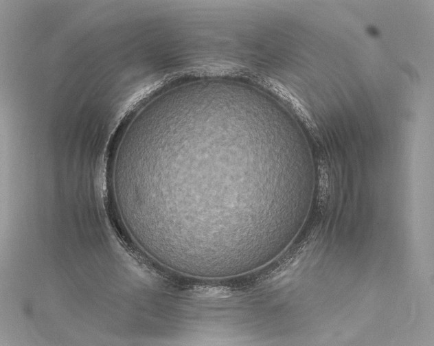 X0000115390582200911171458