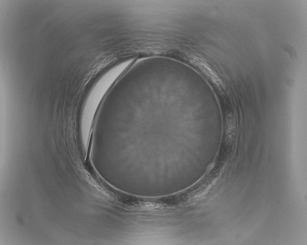 X0000115390585200911171458