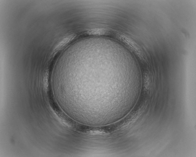 X0000115390586200911171458