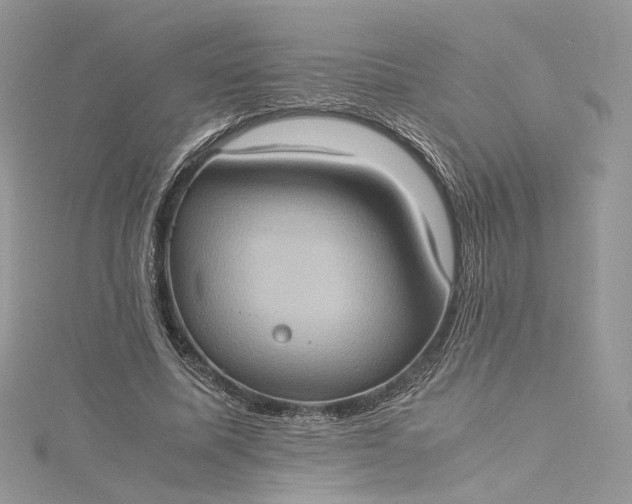 X0000115390587200911171458