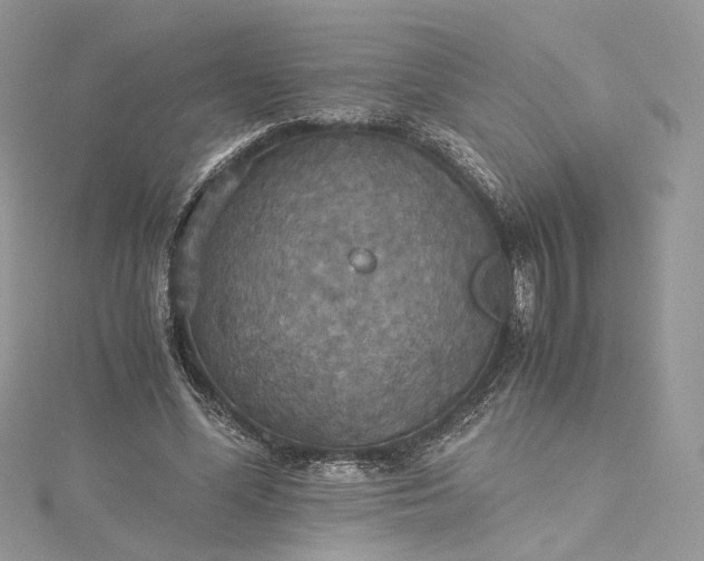 X0000115390588200911171458