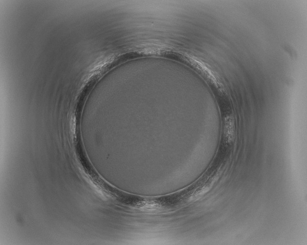 X0000115390589200911171458