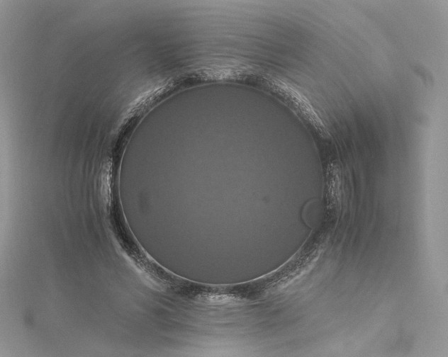 X0000115390590200911171458