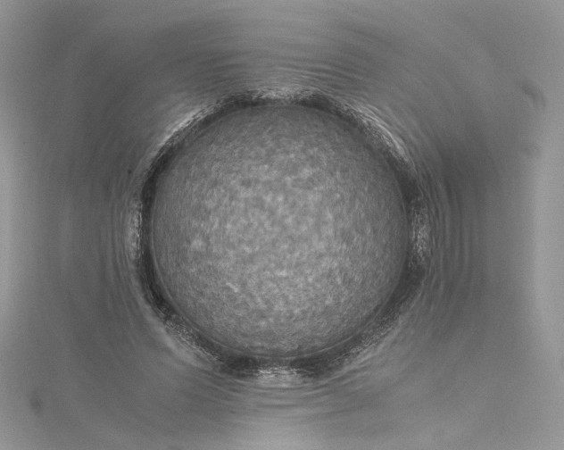 X0000115390591200911171458