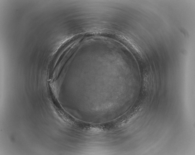 X0000115390592200911171458