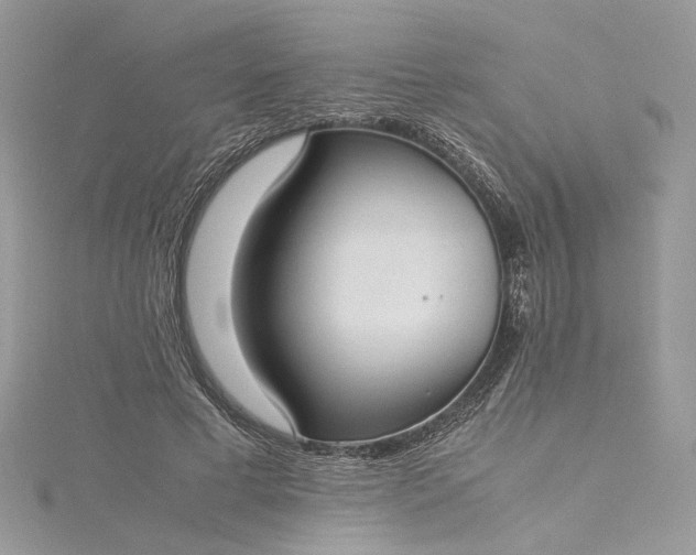 X0000115390593200911171458