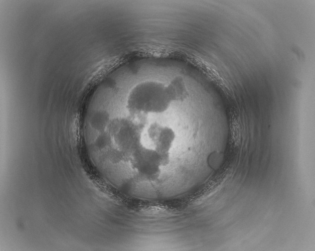 X0000115390594200911171458