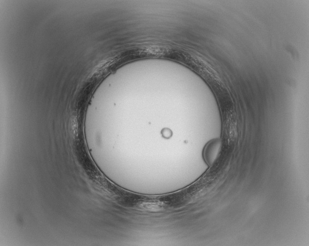 X0000115390595200911171458