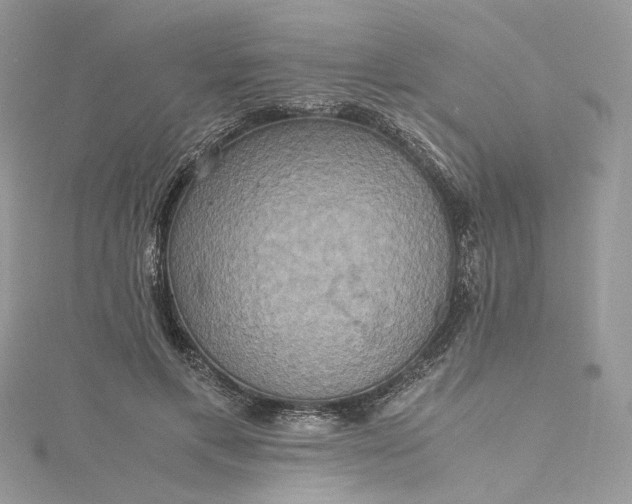 X0000115390597200911171458