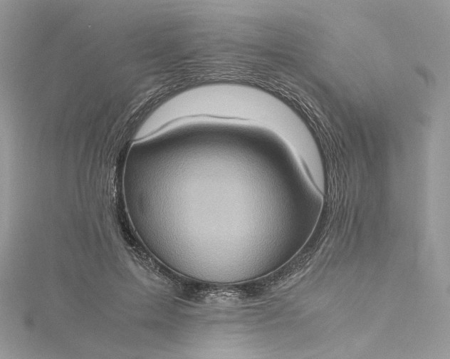 X0000115390599200911171458