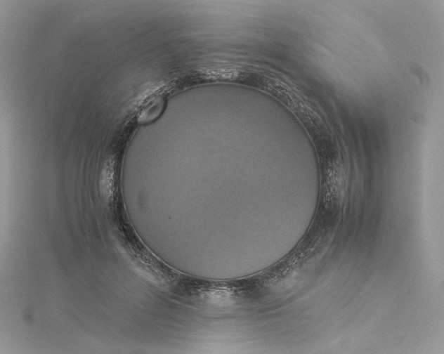 X0000115390600200911171458