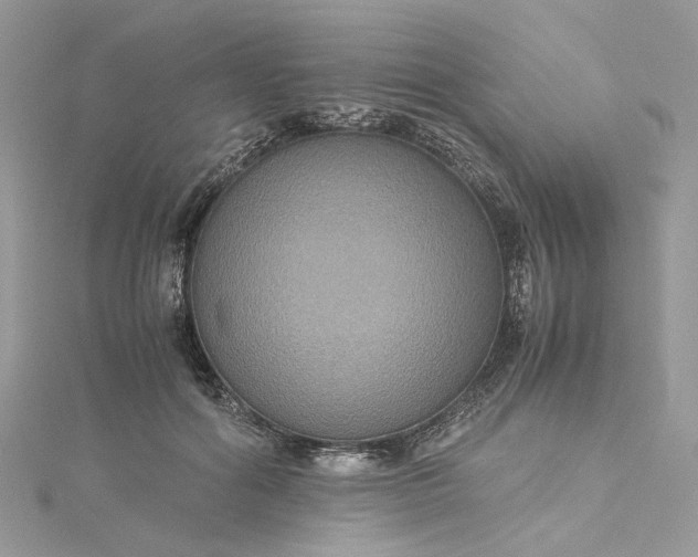 X0000115390602200911171458