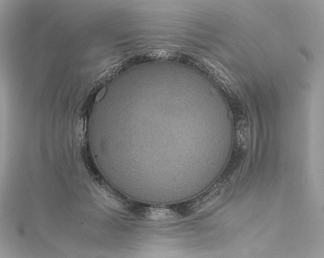 X0000115390605200911171458