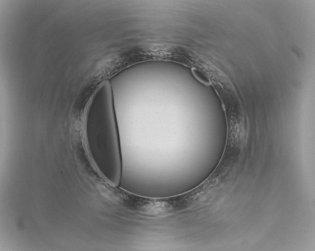 X0000115390609200911171458