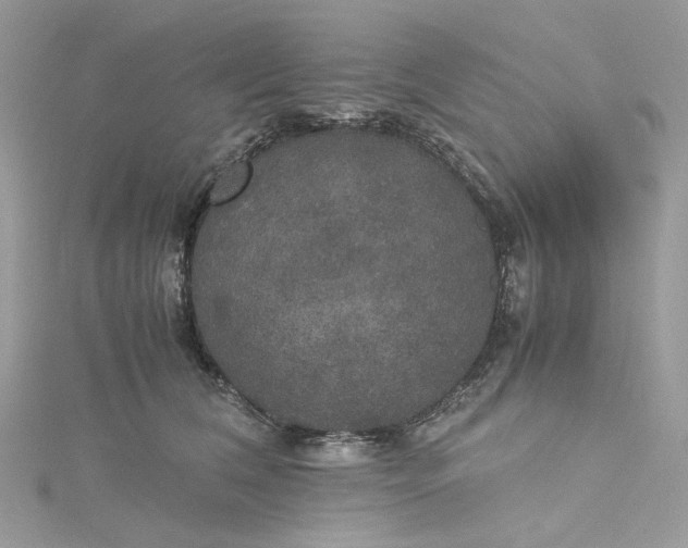 X0000115390612200911171458