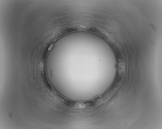 X0000115390613200911171458