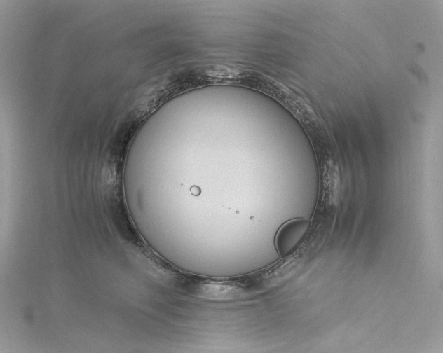 X0000115390614200911171458