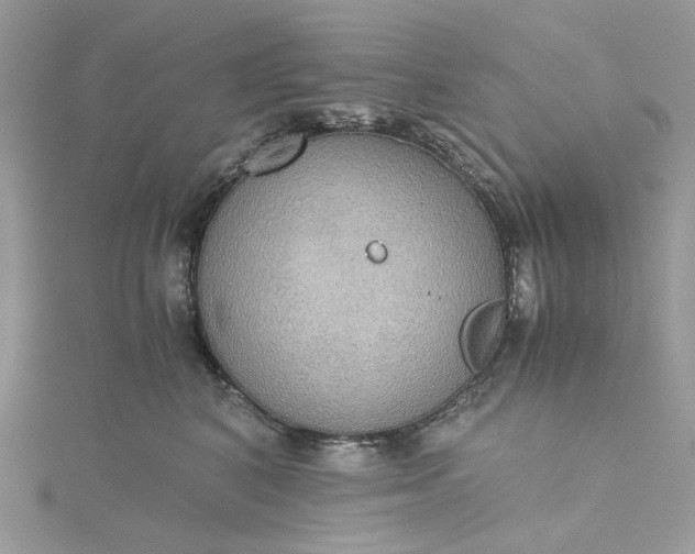 X0000115390616200911171458