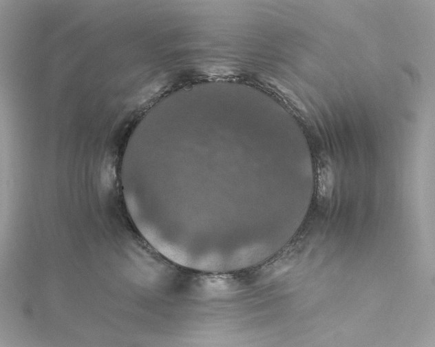 X0000115390618200911171458