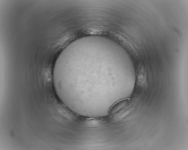 X0000115390620200911171458