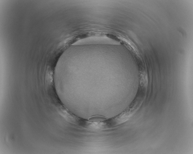 X0000115390621200911171458