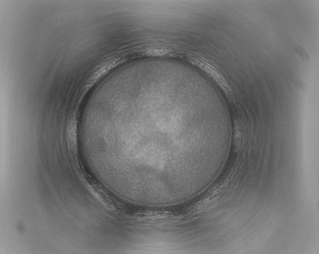 X0000115390626200911171457