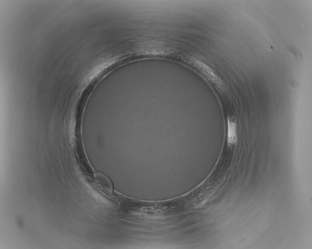 X0000115390627200911171457