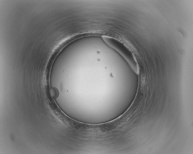 X0000115390628200911171457