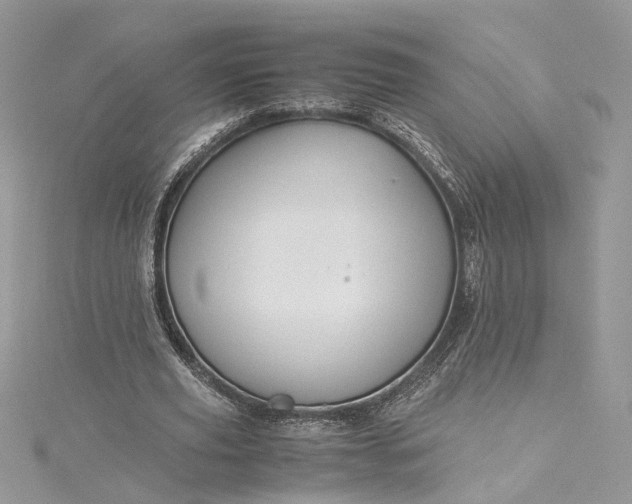 X0000115390629200911171457