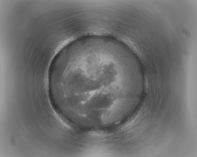 X0000115390630200911171457