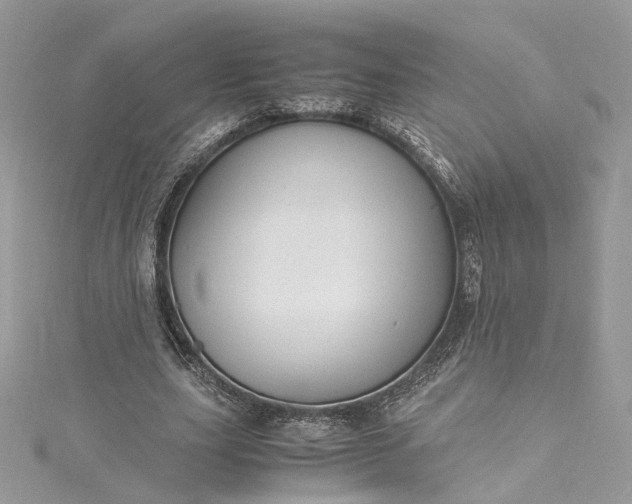 X0000115390631200911171457