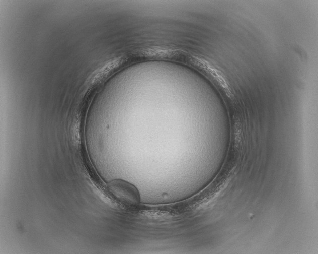 X0000115390633200911171457