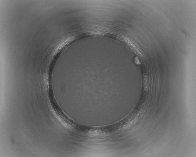 X0000115390634200911171457