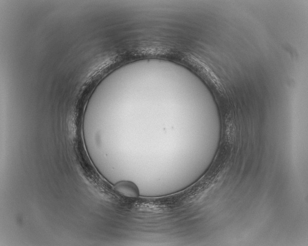 X0000115390635200911171457