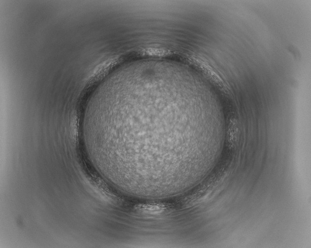 X0000115390639200911171457