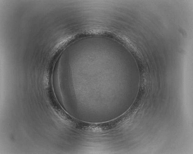 X0000115390640200911171457