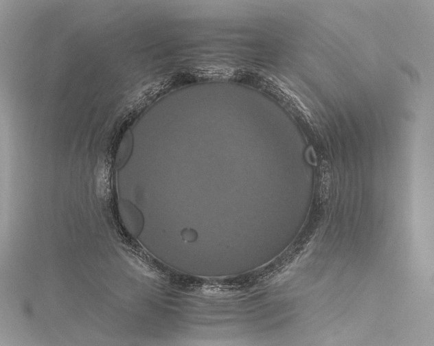 X0000115390641200911171457