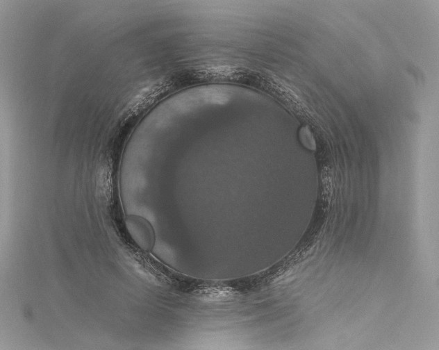 X0000115390642200911171457