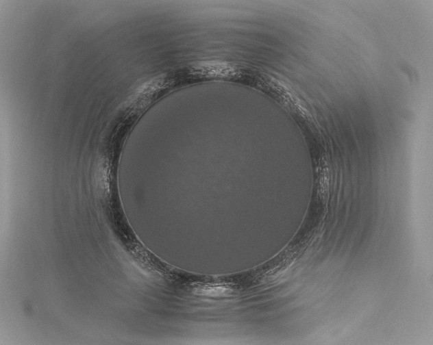 X0000115390643200911171457