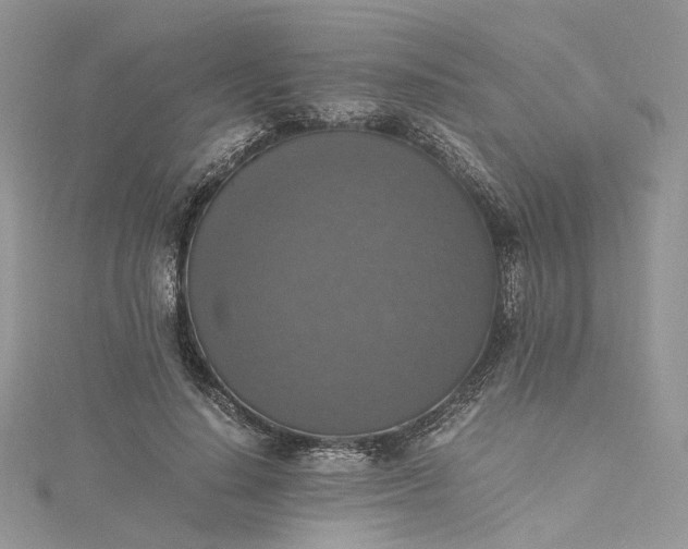 X0000115390644200911171457