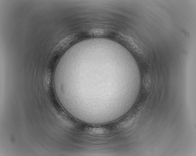 X0000115390645200911171457