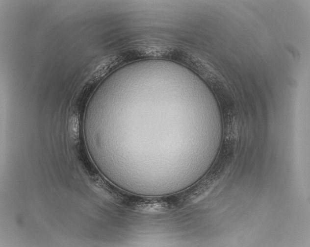 X0000115390646200911171457