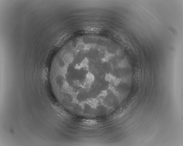 X0000115390649200911171457