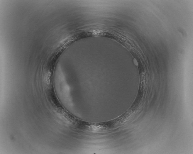 X0000115390650200911171457