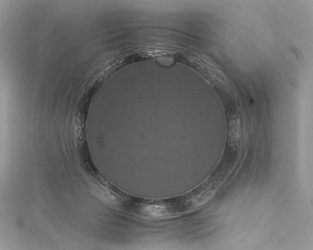 X0000115390653200911171457