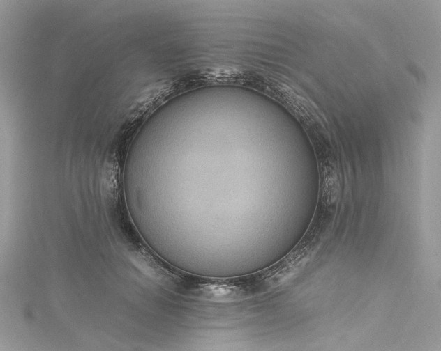 X0000115390654200911171457