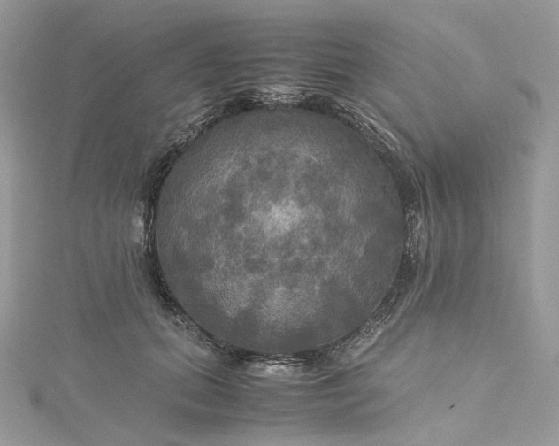 X0000115390655200911171457