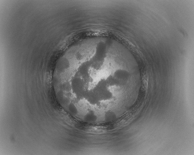 X0000115390657200911171457