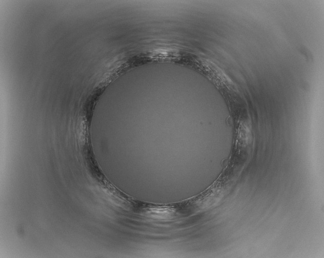 X0000115390659200911171458