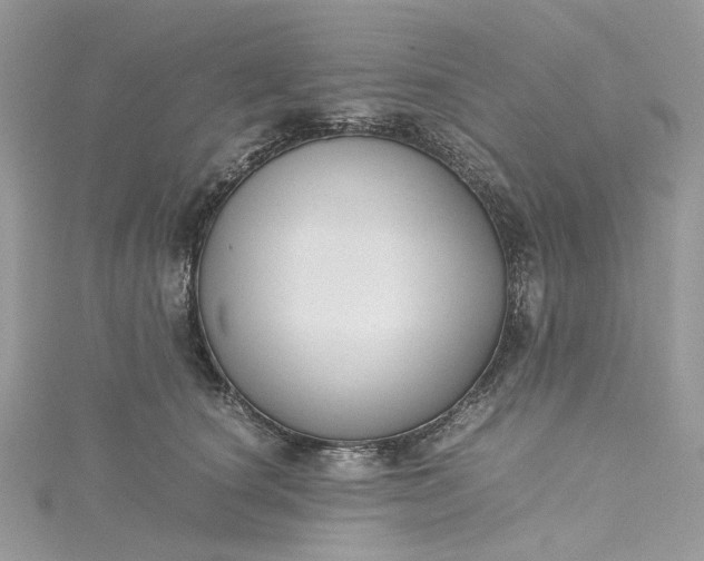 X0000115390660200911171458